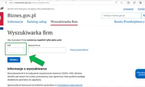 Jak sprawdzić KRS po NIP i uniknąć błędnych informacji o firmie