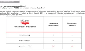 Kiedy znika wpis w KRD? Poznaj kluczowe informacje o długach