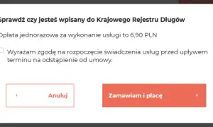 Wpis do KRD od jakiej kwoty? Sprawdź, zanim będzie za późno
