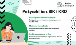 Gdzie dostanę kredyt bez BIK i KRD? Opcje dla zadłużonych bez ryzyka