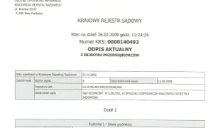 Jak pobrać KRS online i uniknąć problemów z dokumentami