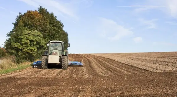 Czy rolnik ryczałtowy może wystawić fakturę? Oto zaskakujące odpowiedzi