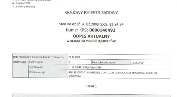 Jak pobrać KRS online i uniknąć problemów z dokumentami