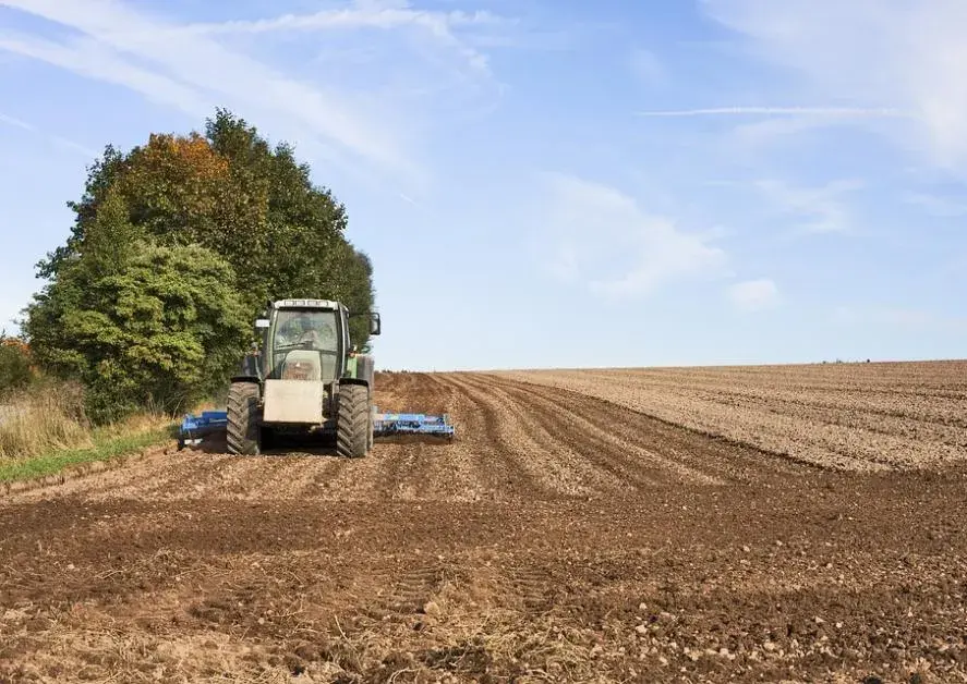 Czy rolnik ryczałtowy może wystawić fakturę? Oto zaskakujące odpowiedzi